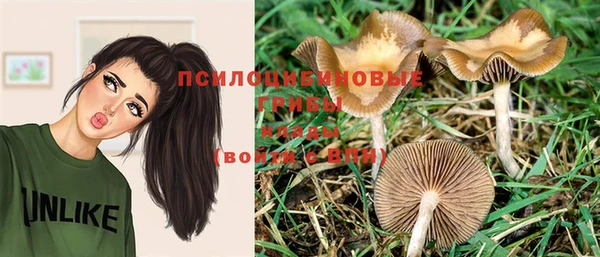 молекула духа Алексеевка