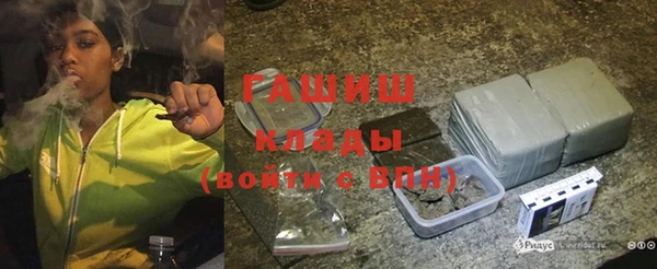 прущие грибы Абаза